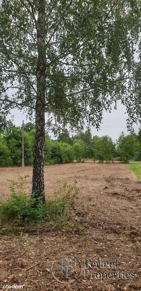 Józefów pod Warszawą - działka budowlana-1