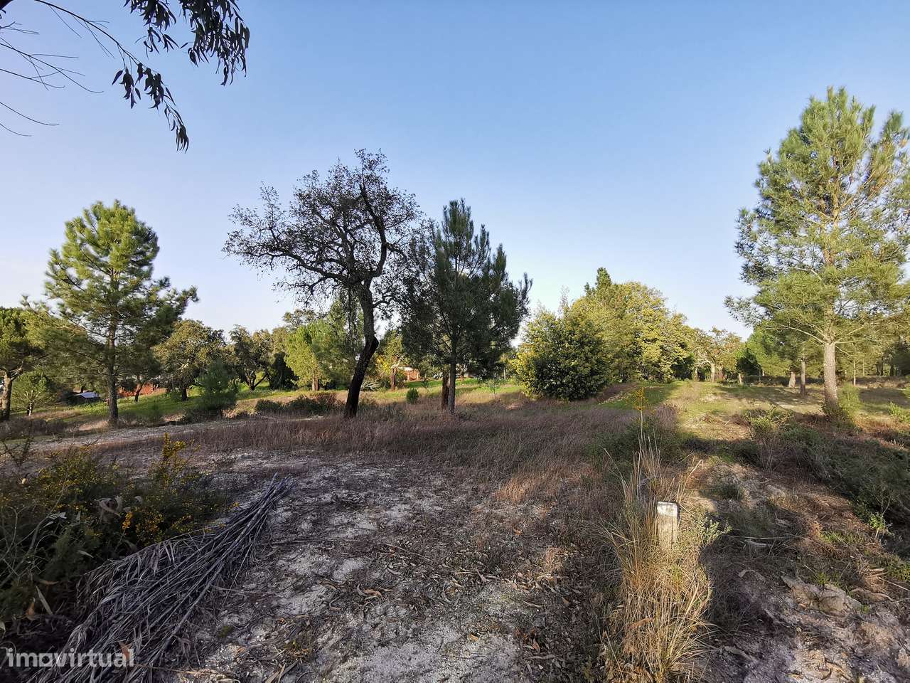 Moradia T2  Lamarosa de Coruche-32