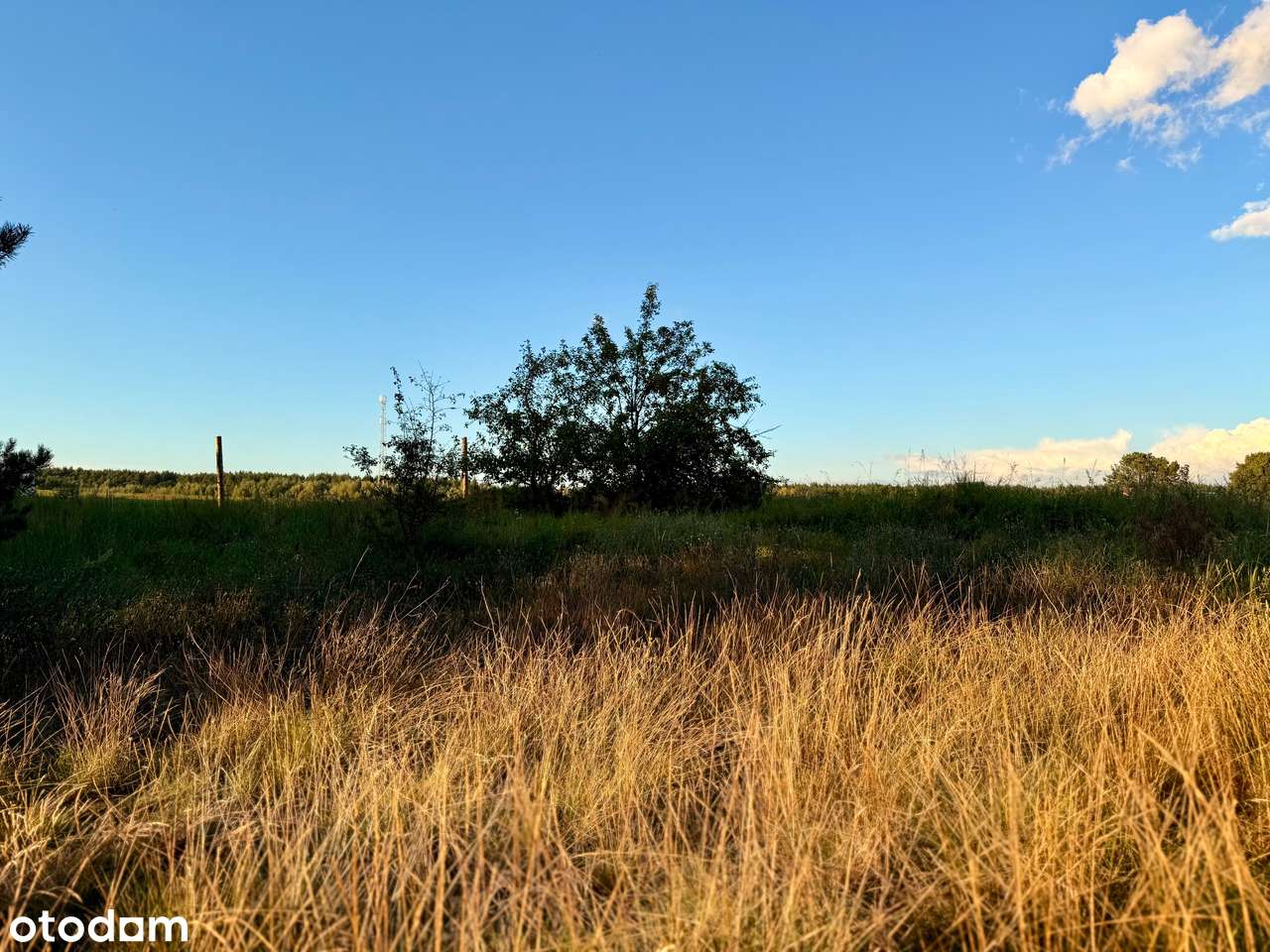 Działki nad jeziorem pod zabudowę jednorodzinną! - Pełny obrazek: 4/6