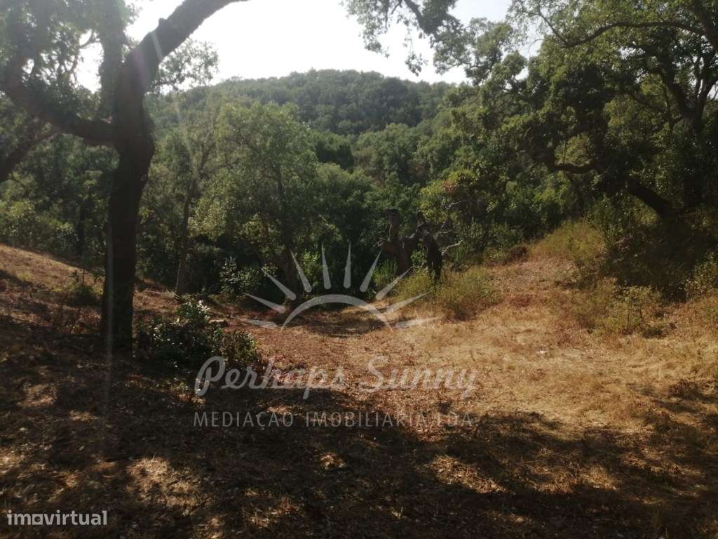 Terreno Misto - 9,975 Hectares - Grande imagem: 2/6