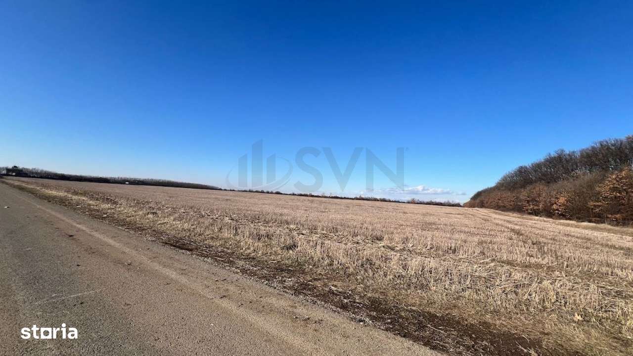 Corbeana - Ostratu 15200 mp langa padure - Imagine principală: 1/8