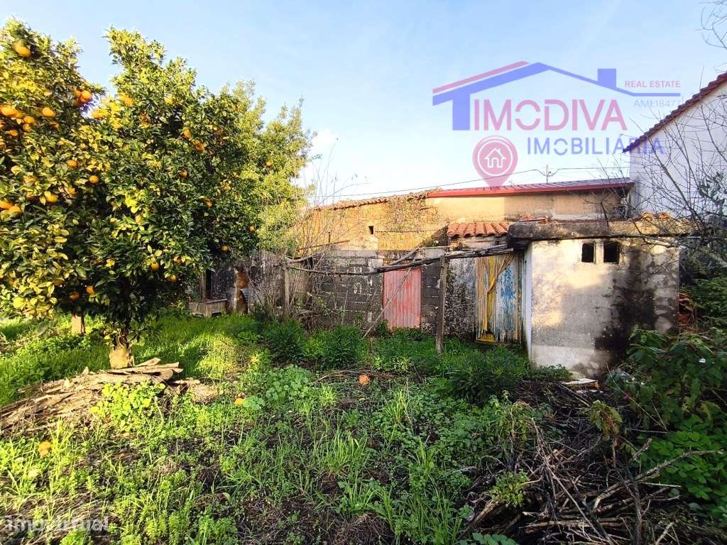 Casa Rústica com terreno situado em Troviscais, Pedrogão Grande-18