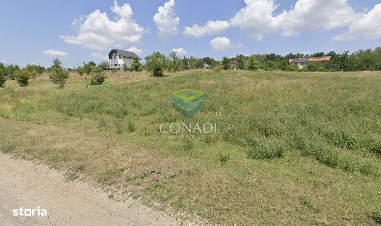 Teren 800mp Vadu Anei | Branesti | Langa Lac si Padure | Rezidential - Imagine principală: 5/7