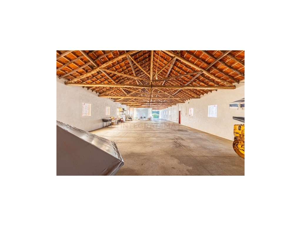 Quintinha com habitação, armazéns e terreno - Rio Maior-20