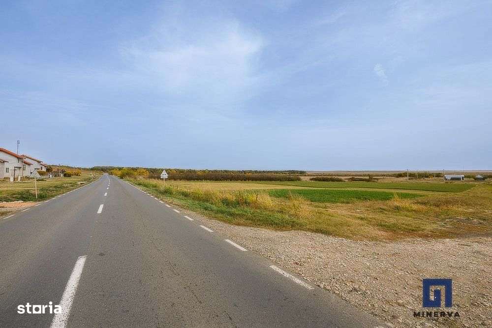 Teren ideal ca investitie, 19000 mp, in Pischia pe DJ691, comision 0-2