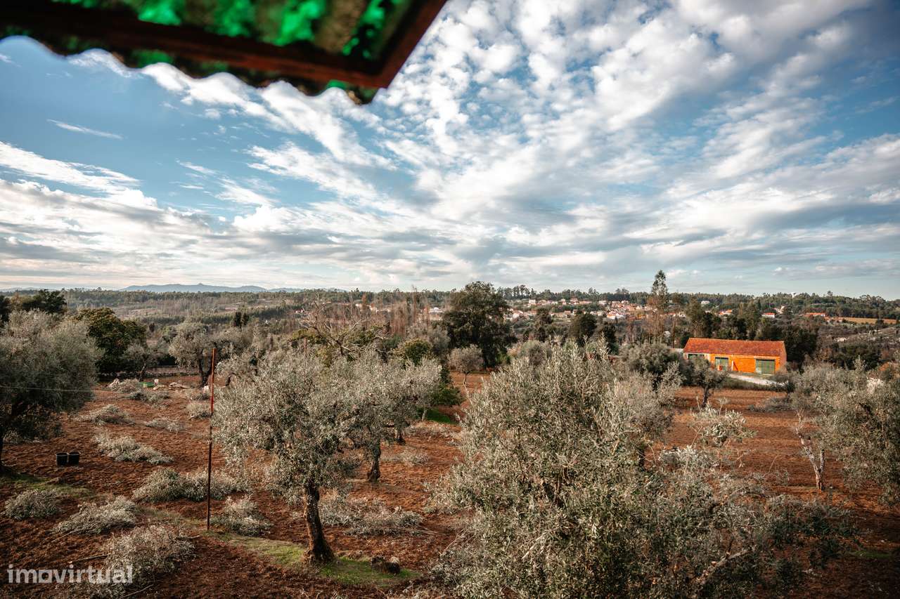 Oportunidade única: conforto, terreno e preço justo-12