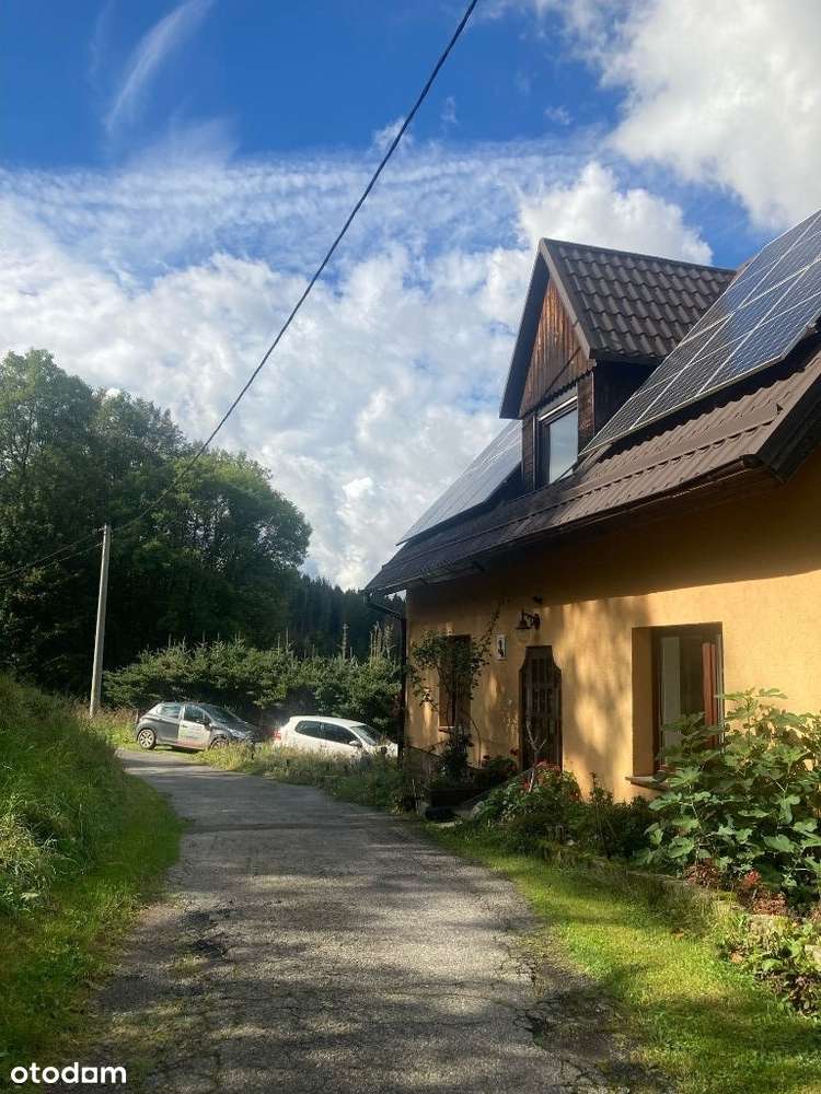 Las góry - zapraszamy do Pstrążnej - Pełny obrazek: 2/18