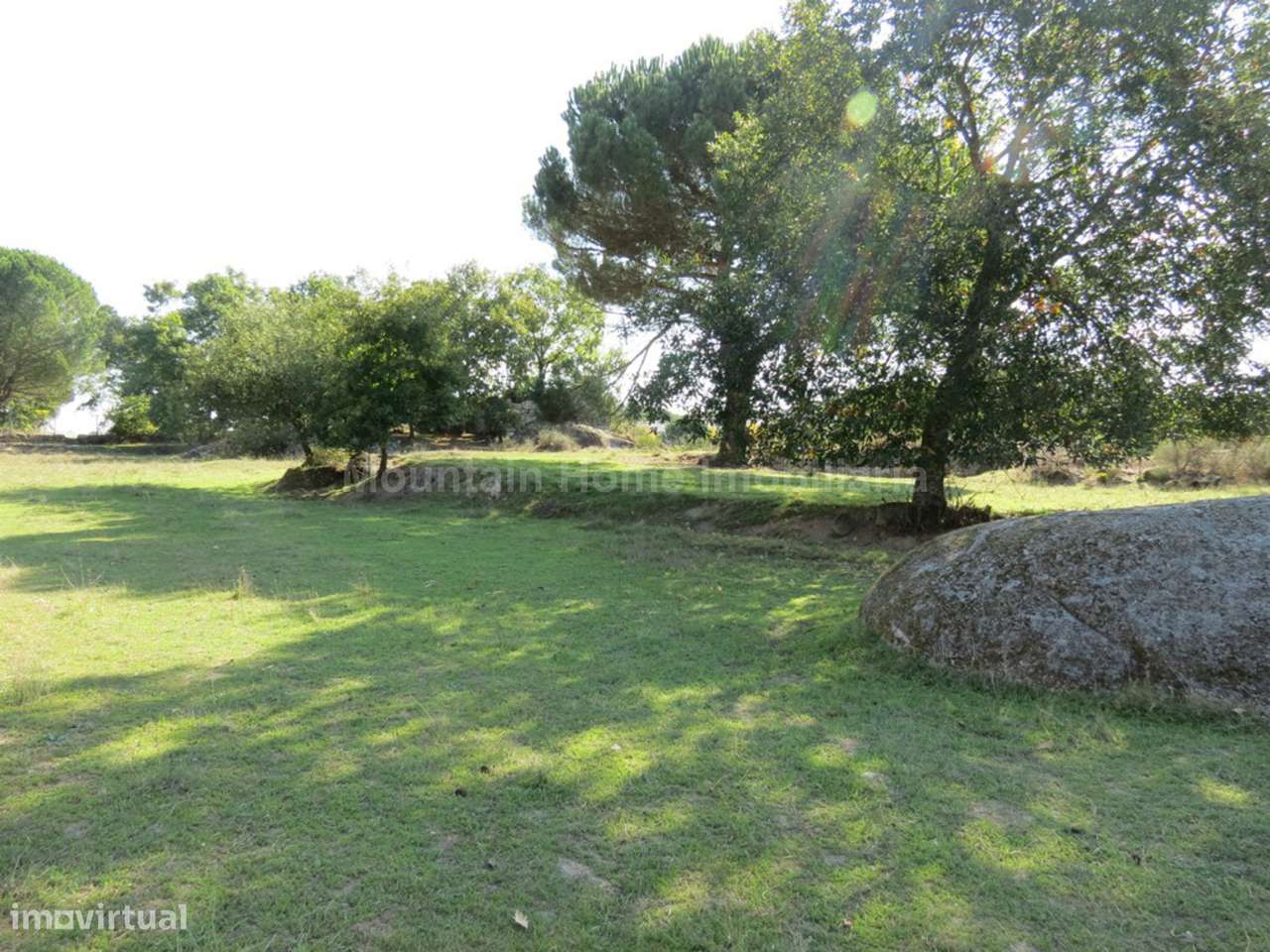 Quinta  Venda em Paranhos,Seia - Grande imagem: 2/8