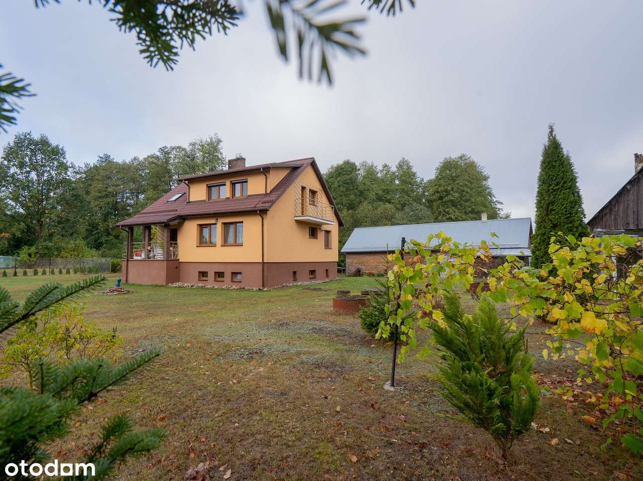 Duża działka, do zamieszkania, sauna, przy lesie - Pełny obrazek: 5/20