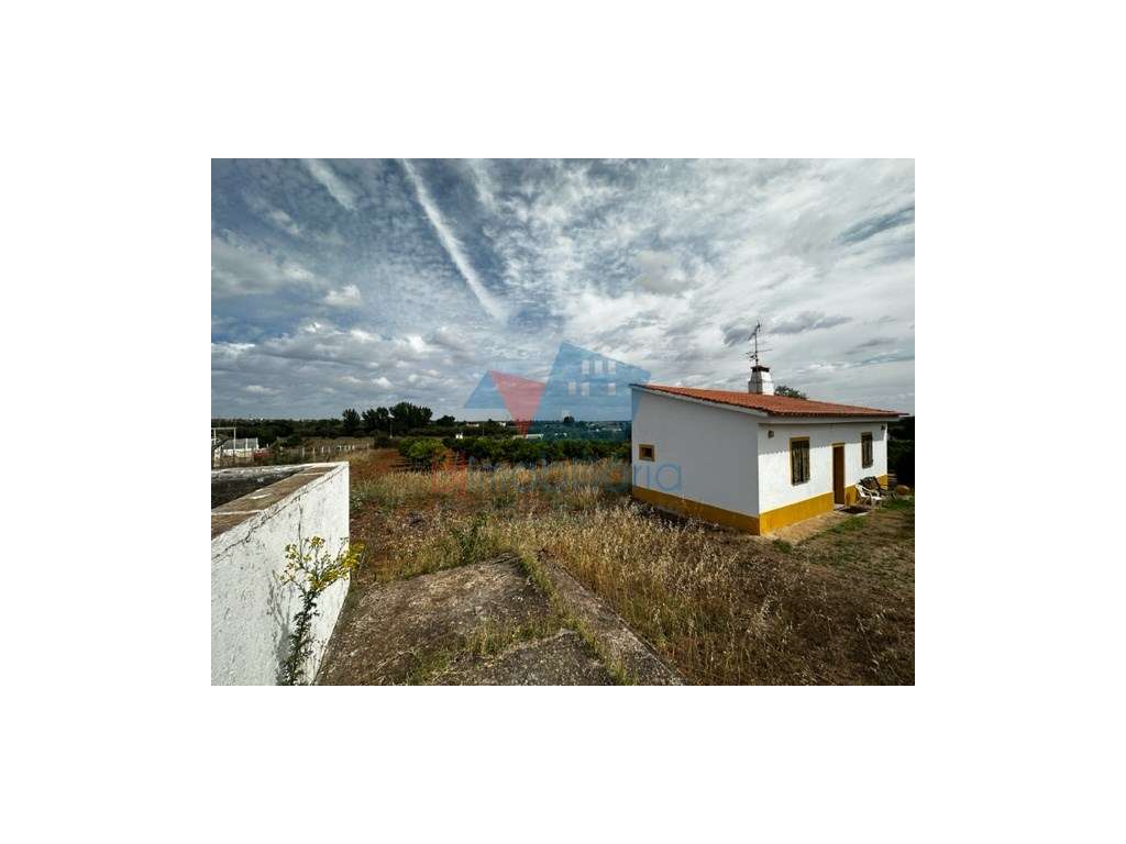 Monte para reabilitar-9