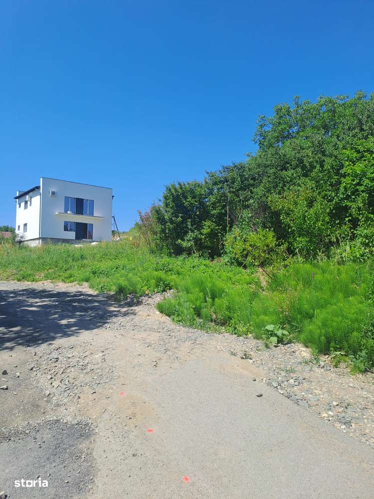 Teren intravilan 20 ari - strada Merilor - Imagine principală: 3/4