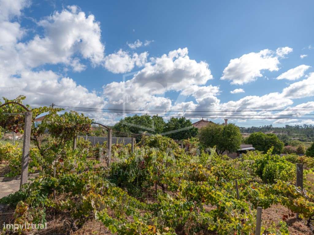 Moradia T3 | Antanhol, Coimbra-26