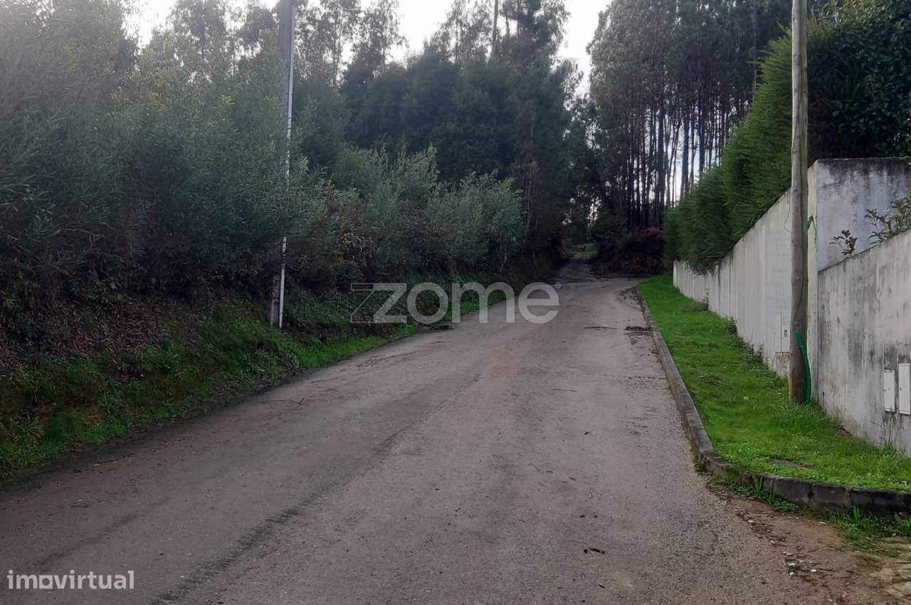 Terreno Rústico com 5165m2, em Salgueiro, Oliveira de Azeméis - Grande imagem: 3/6