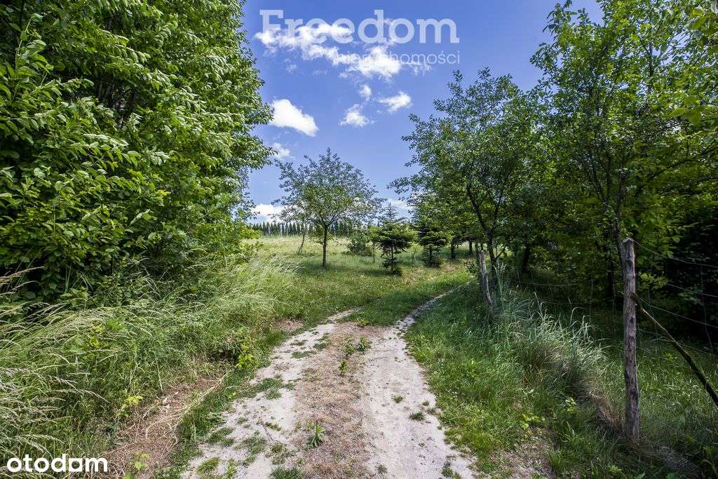 Działka 62,87 ar z zabudowaniami przy lesie-12