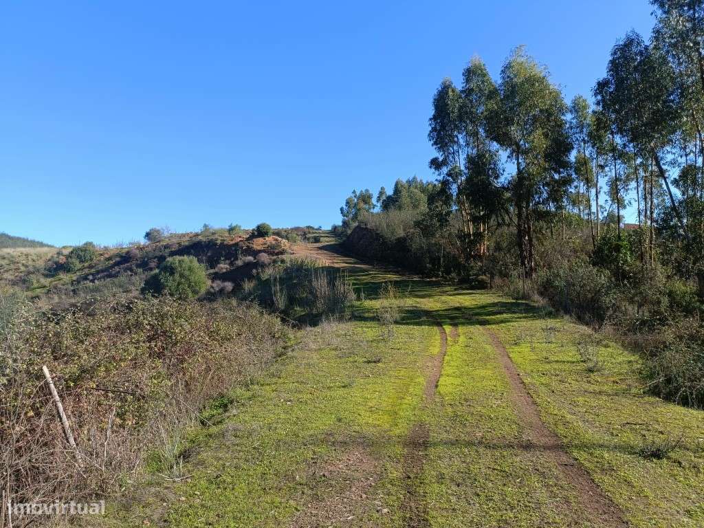 Terreno Rustico no Rasmalho - Grande imagem: 5/11