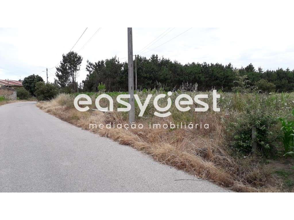 Terreno com viabilidade/ Outeiro (Paião) - Grande imagem: 3/5