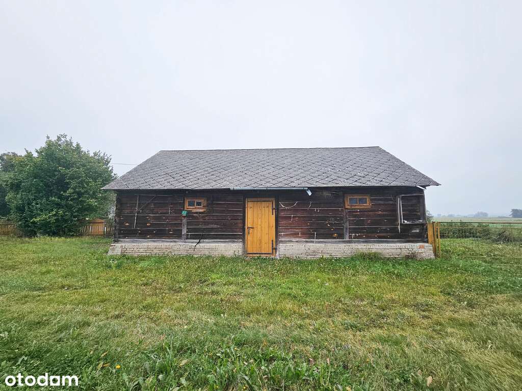 Malownicze Siedlisko, rzeka, las, Zalew Nielisz-15