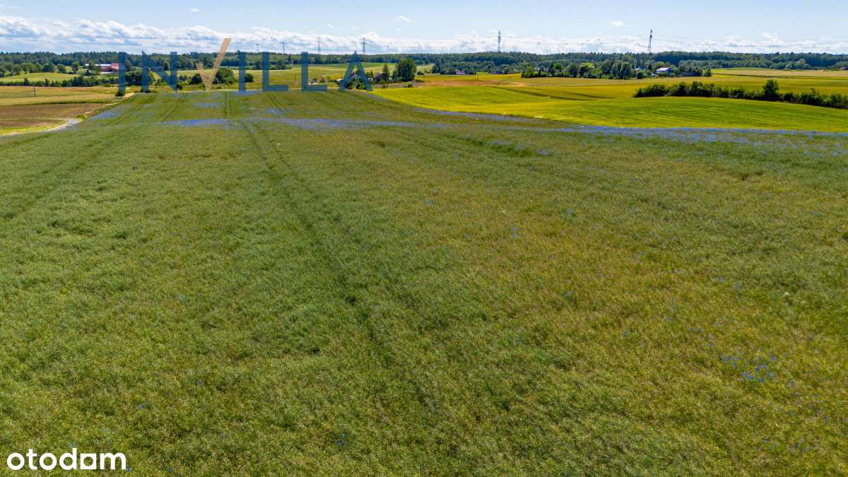 piękna działka w Ełganowie - Pełny obrazek: 4/9