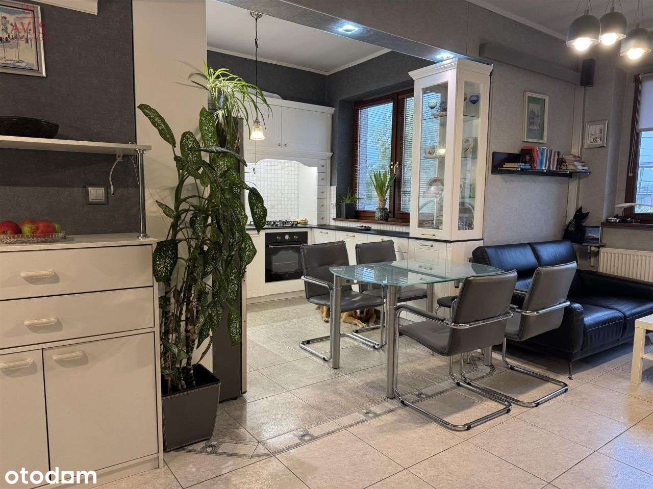 Mieszkanie - Gdynia Orłowo-8