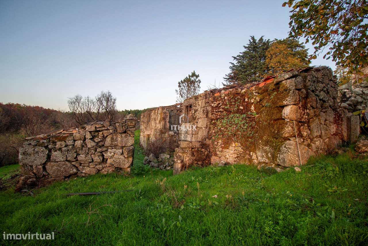 Quinta com 1ha, Cunha Alta, Mangualde - Grande imagem: 4/13