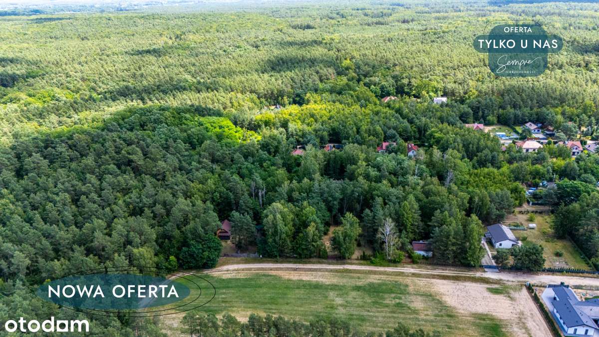 Leśna enklawa pod zabudowę - Pełny obrazek: 3/10