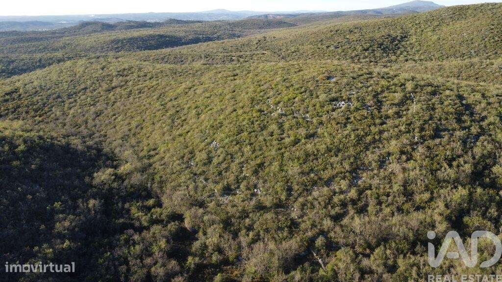 Terreno em Chãos - Grande imagem: 4/18