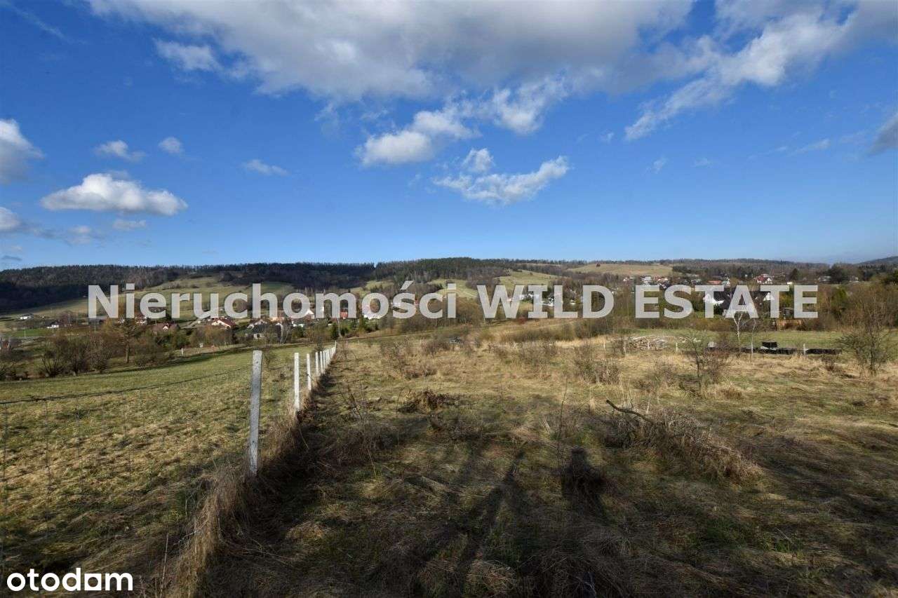 Działka, 5 533 m², Ustrzyki Dolne - Pełny obrazek: 4/7