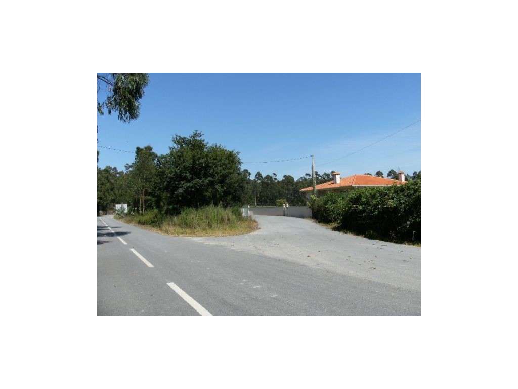 Bouça de Sejães - Grande imagem: 4/4