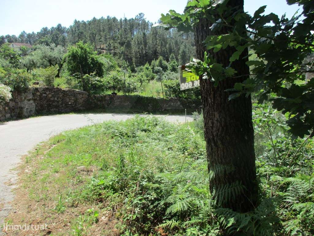 Terreno perto do centro de Ponte de Lima - Grande imagem: 2/4