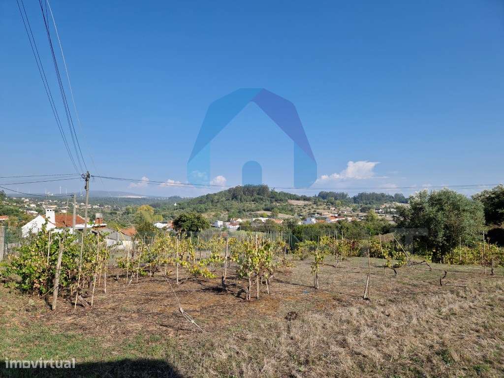 Terreno com Viabilidade de Construção - Pombal-6