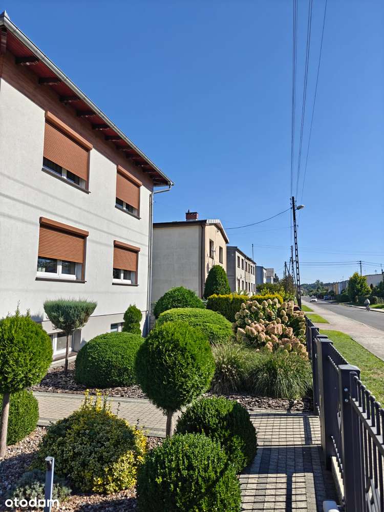 Dom, 270 m², Cieszków - Pełny obrazek: 4/13