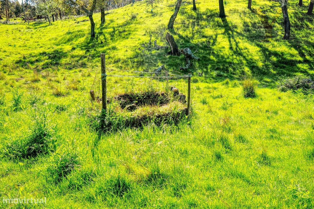 TERRENO EM S.BARTOLOMEU DA SERRA-38