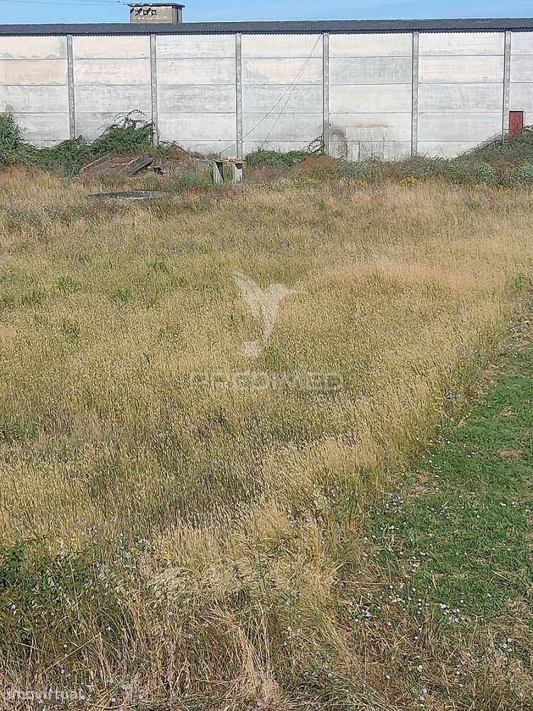 Terreno Rústico - Gouxaria, Alcanena - Grande imagem: 3/5