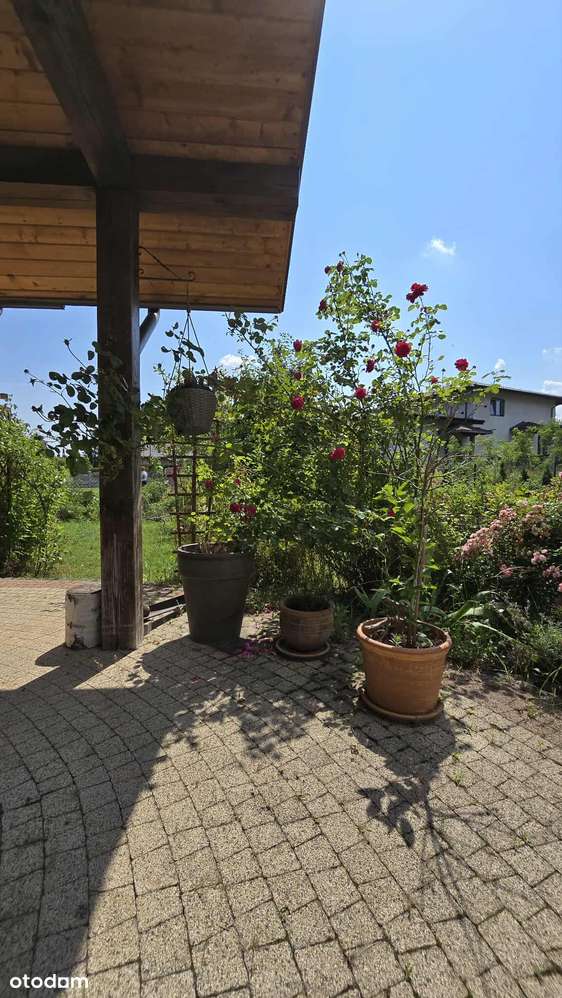 Sprzedam dom w spokojnej lokalizacji - Ciechomice-15