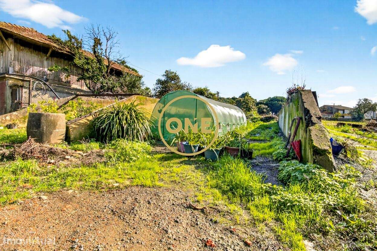 Quinta com 1.9 Hectares no Castêlo da Maia-14