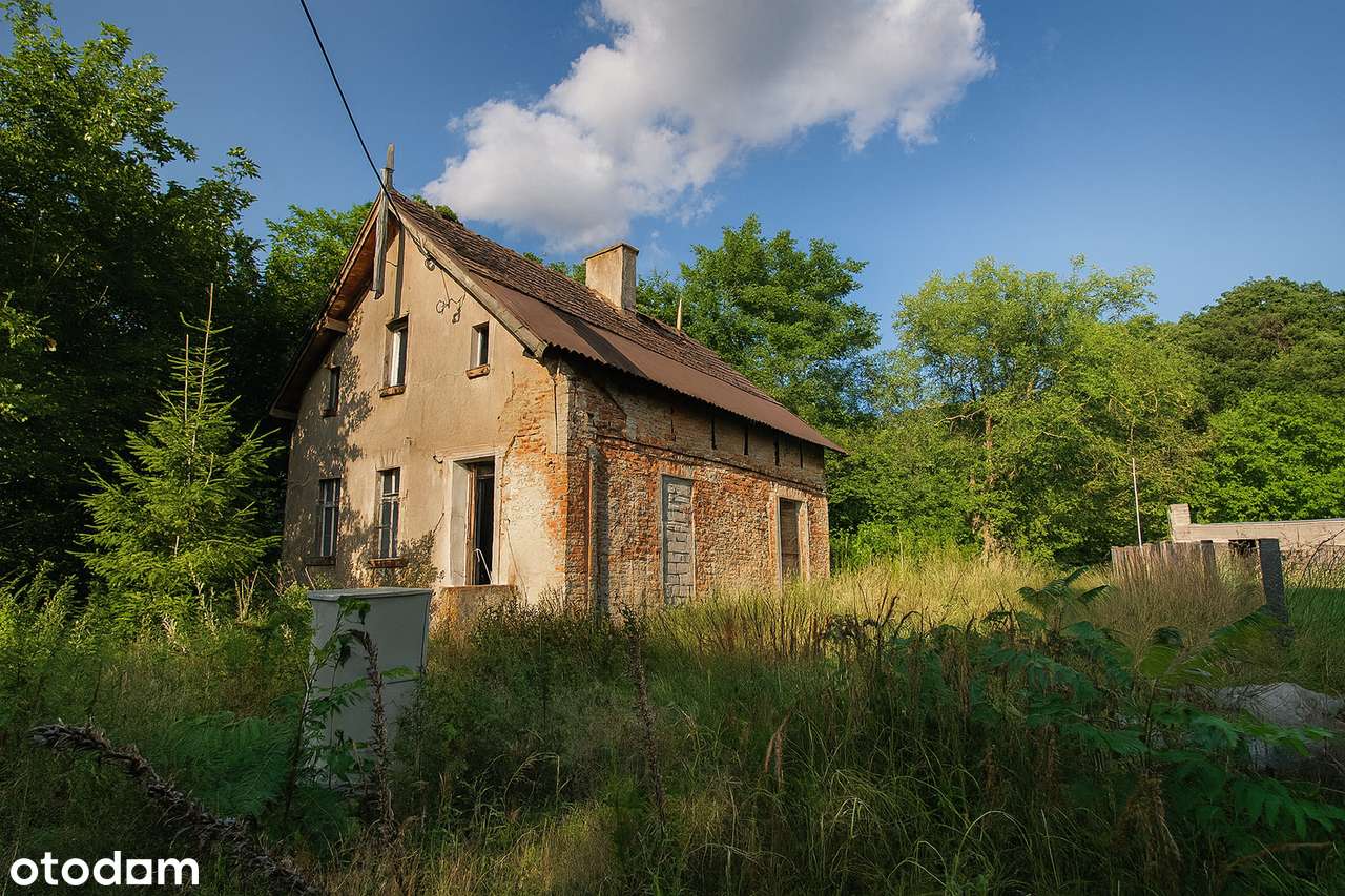 Twój azyl pod lasem – UNIKALNA działka z potencjałem w Wierzonce-4