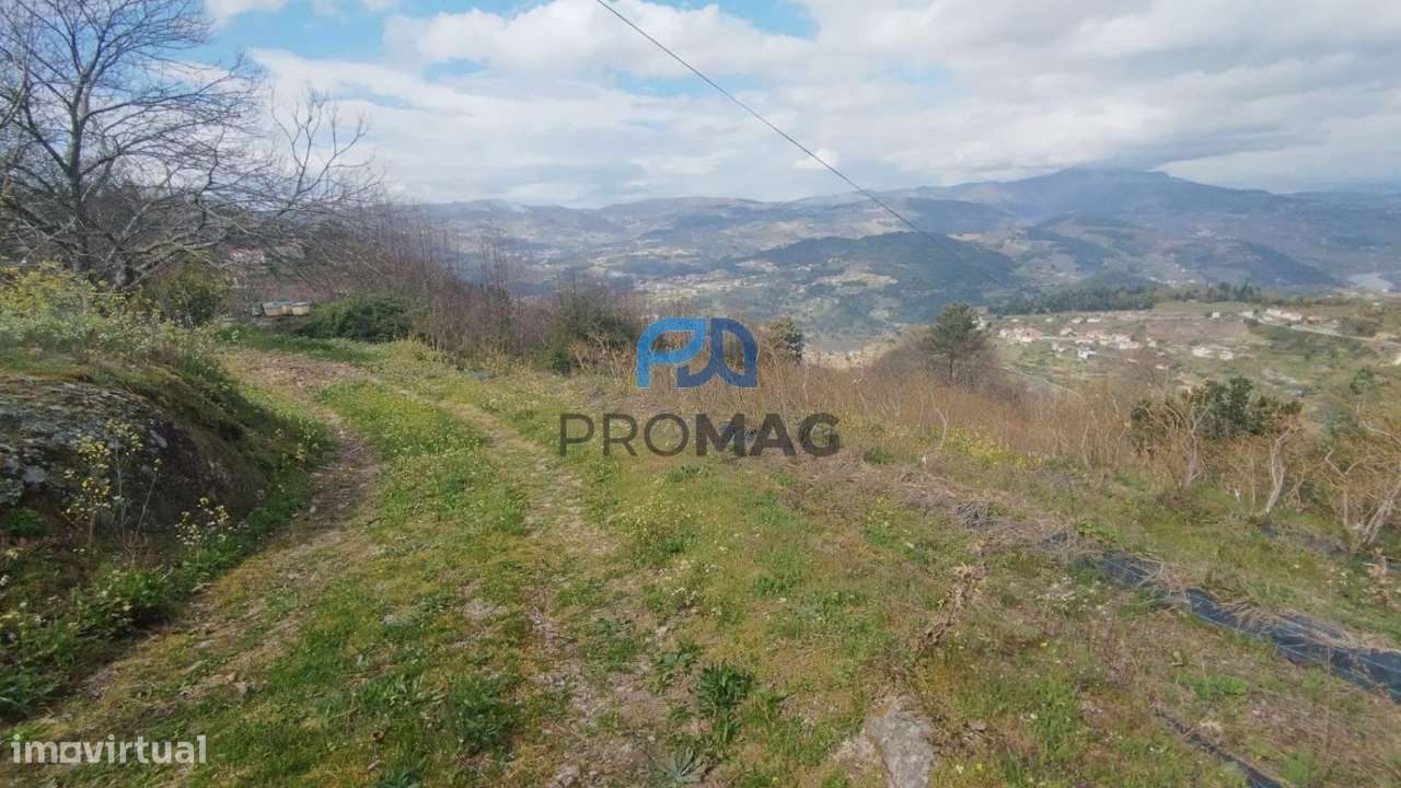Terreno Urbanizável de 7959 m² com Armazém-26