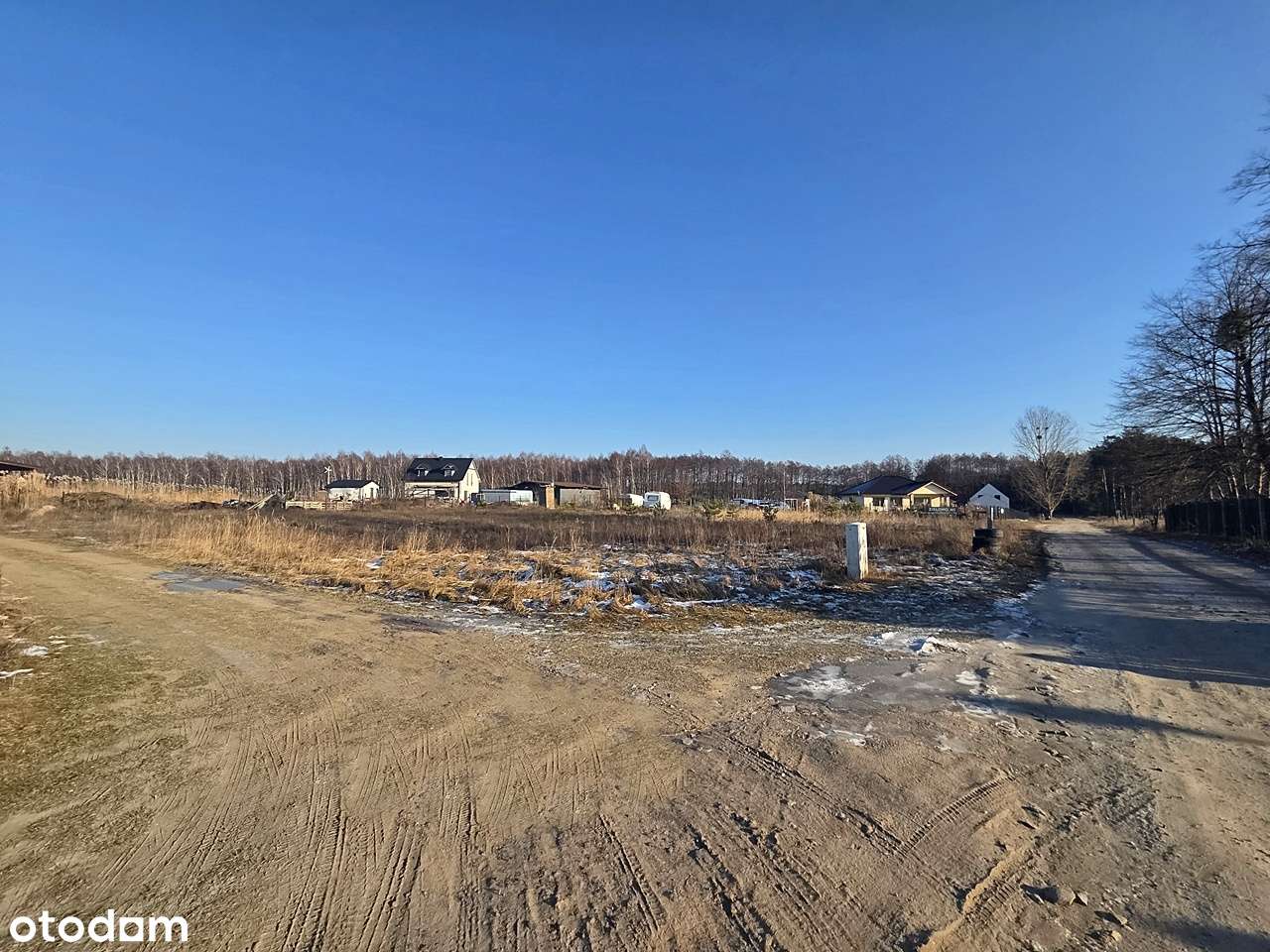 Na nowopowstałym osiedlu w sąsiedztwie lasu-3