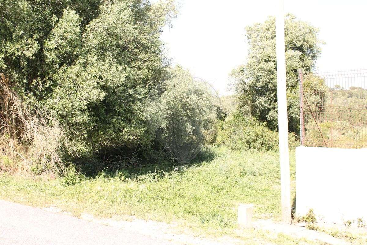 Terreno  para venda - Grande imagem: 3/26