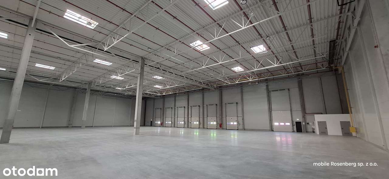 4 moduły po 2000m lub 4000m HALA Wynajem bezpośrednio. 10 m wysoki - Pełny obrazek: 4/12