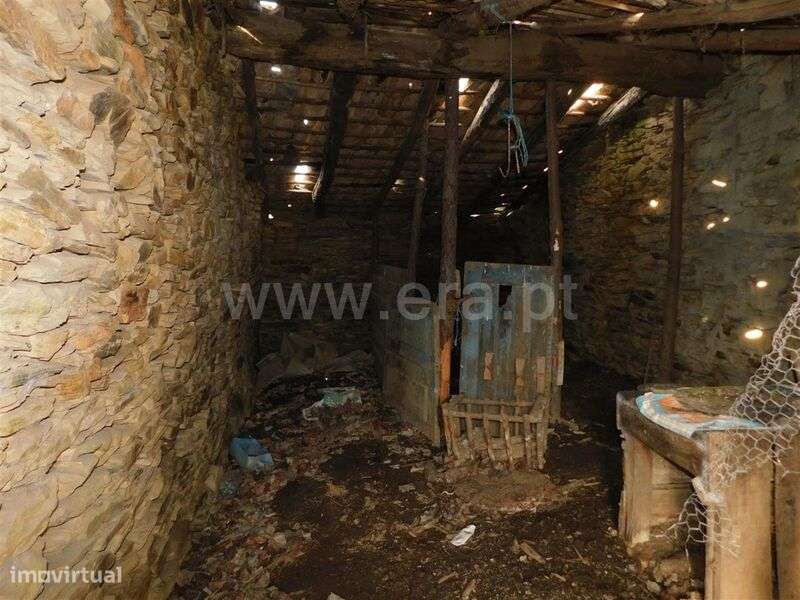 Quintinha / Fundão, Enxames - Grande imagem: 4/8