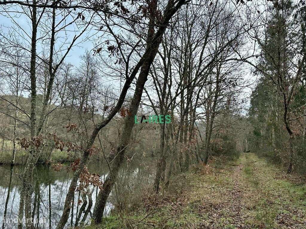 Terreno situado nas margens do Rio Dão - Grande imagem: 5/7