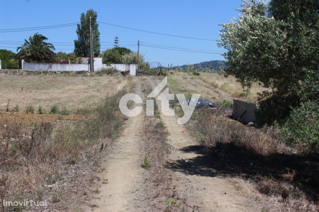 Terreno Agrícola em Sintra