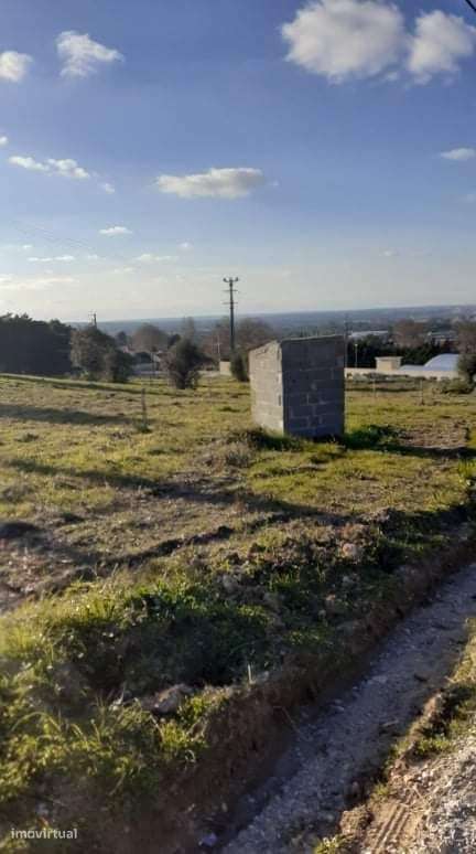 Azeitão Terreno 65000 M2 bom para plantação vinha. - Grande imagem: 3/10