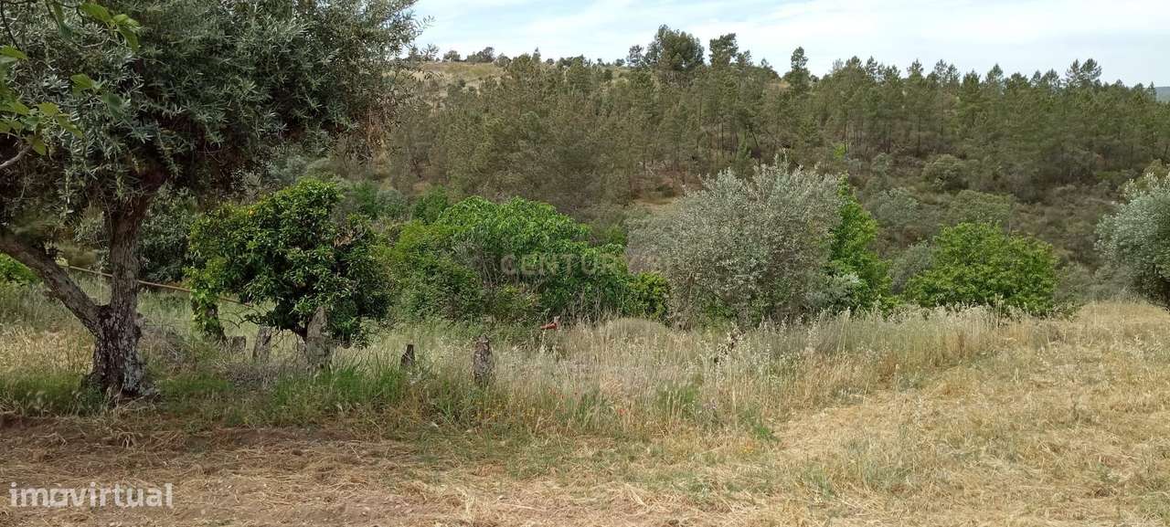 Terreno 8500m2, Lentiscais, Castelo Branco - Grande imagem: 5/21