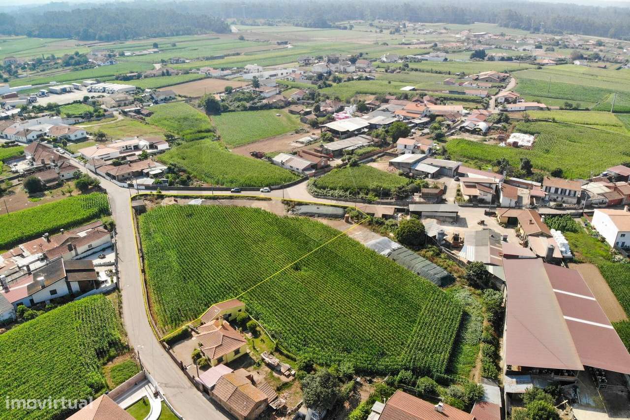 Terreno com Elevado Potencial para Investimento – Avanca, Estarreja-6
