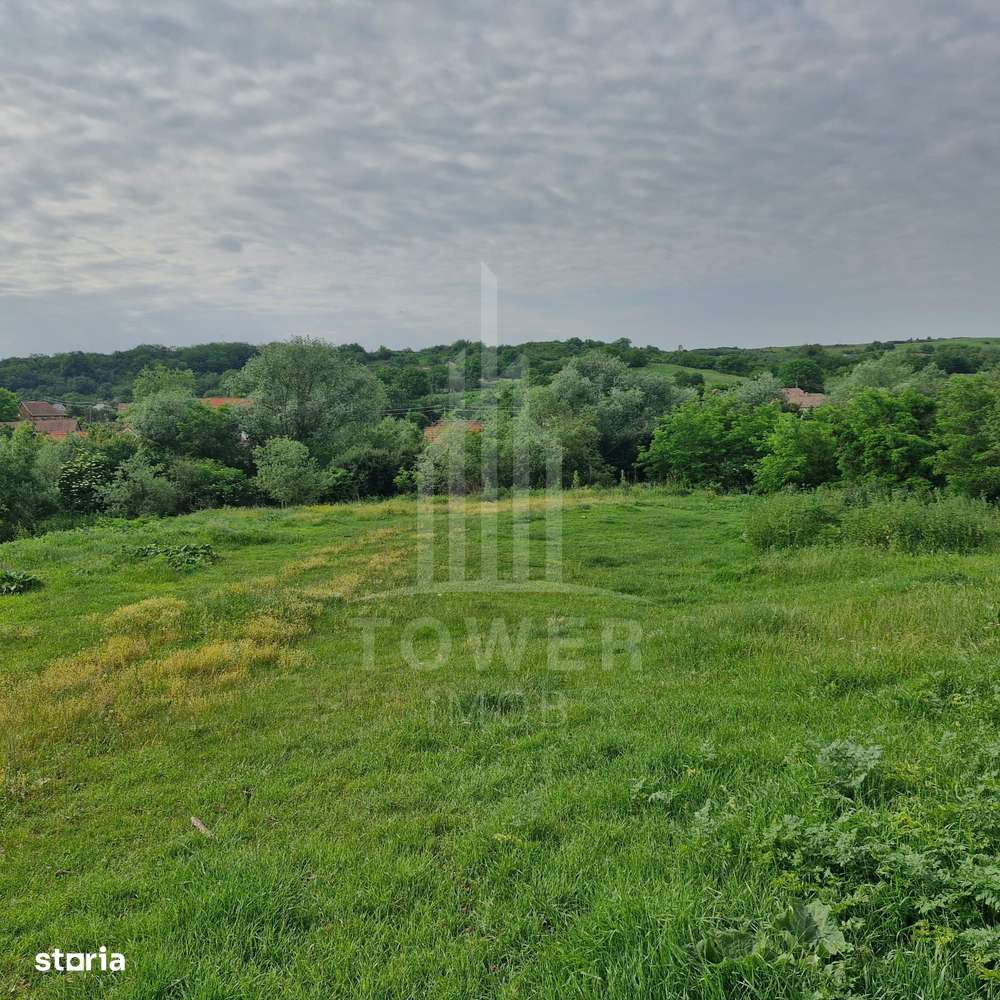 De vânzare Teren versatil 3.919 mp  in localitatea Armeni. Sibiu - Imagine principală: 1/14