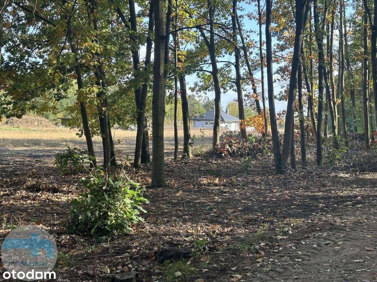 Atrakcyjna działka budowlana blisko lasu - Pełny obrazek: 4/8