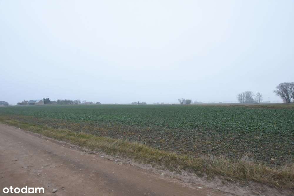 Działka budowlana możliwość budowy 3 domów BRZOZA/Niepruszewo-7