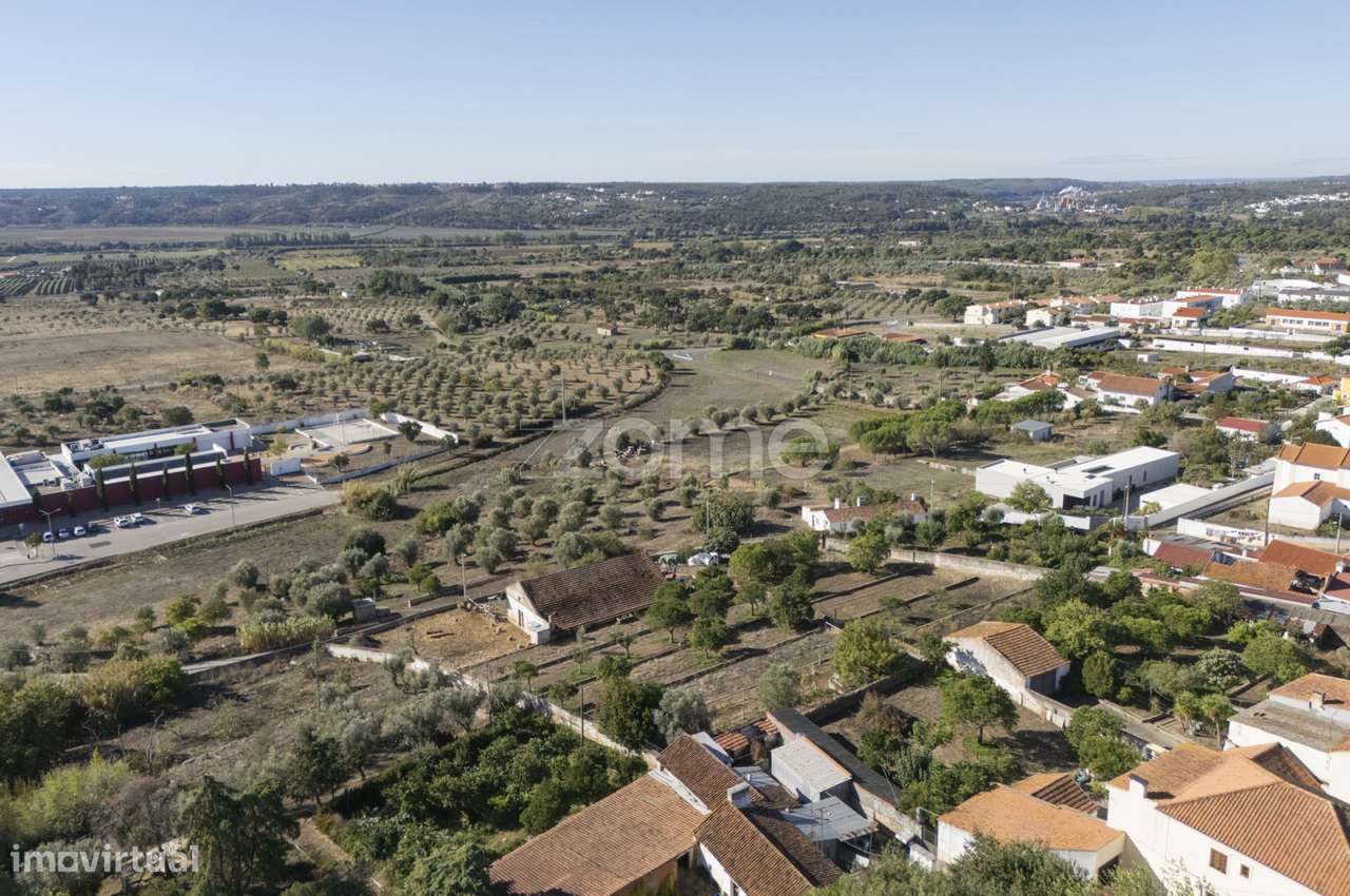 Lagar || Montalvo, Constância-28